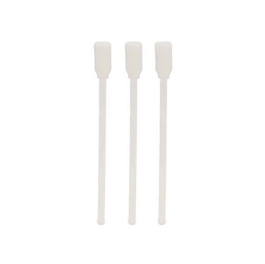 Sponge Brush, 12/bag